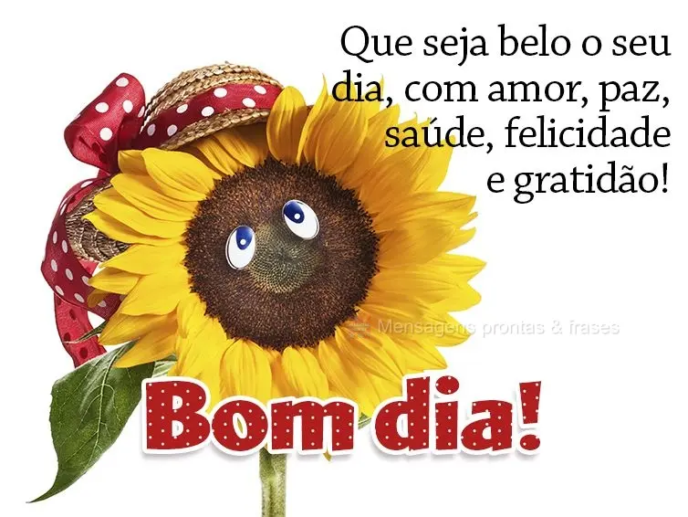 Que seja belo o seu dia. Com amor, paz, saúde, felicidade e gratidão! Bom dia! 