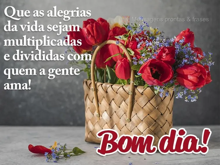 Que as alegrias da vida sejam multiplicadas e divididas com quem a gente ama! Bom dia! 