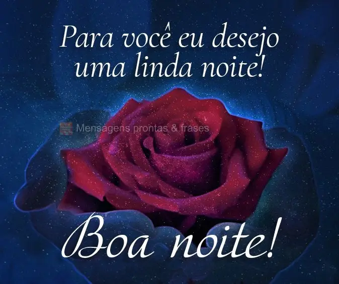 Para você eu desejo uma linda noite! Boa noite! 