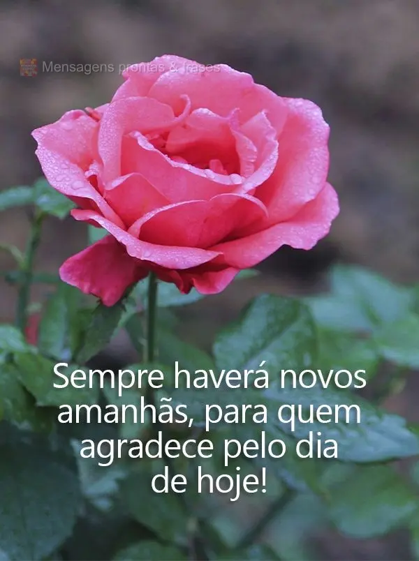 Sempre haverá novos amanhãs para quem agradece pelo dia de hoje!