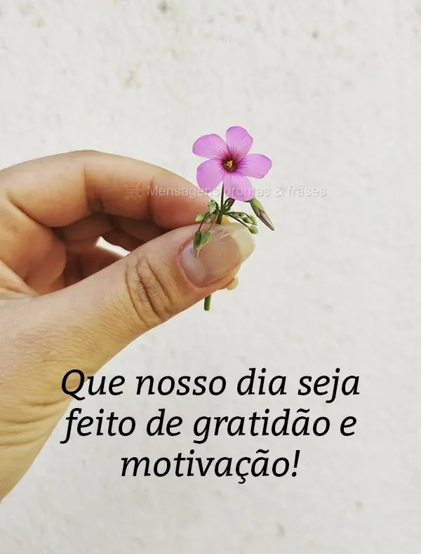 Que nosso dia seja feito de gratidão e motivação!