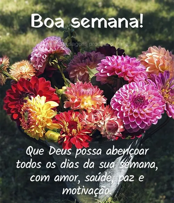 Que Deus possa abençoar todos os dias da sua semana com amor, saúde, paz e motivação. Boa semana! 