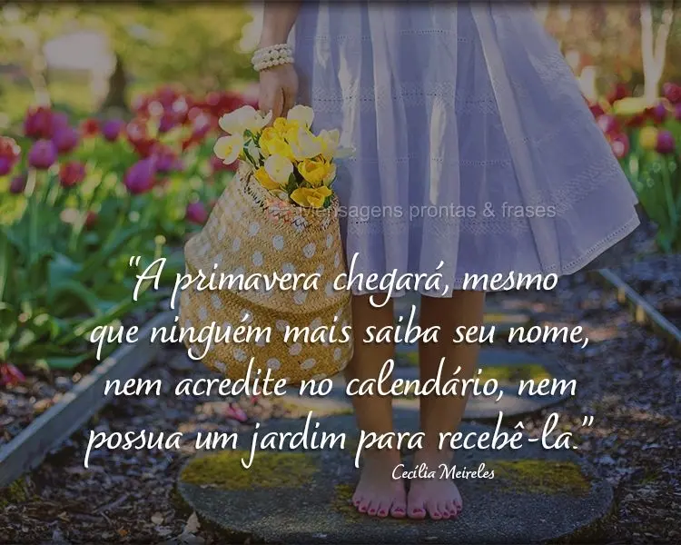 “A primavera chegará, mesmo que ninguém mais saiba seu nome, nem acredite no calendário, nem possua um jardim para recebê-la.”  Cecília Meireles...