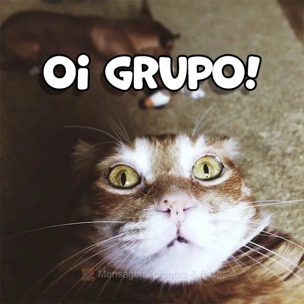 Oi grupo!