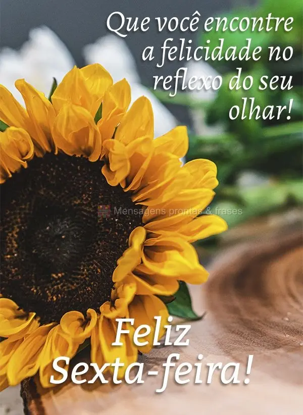 Que você encontre a felicidade no reflexo do seu olhar! Feliz Sexta-feira!