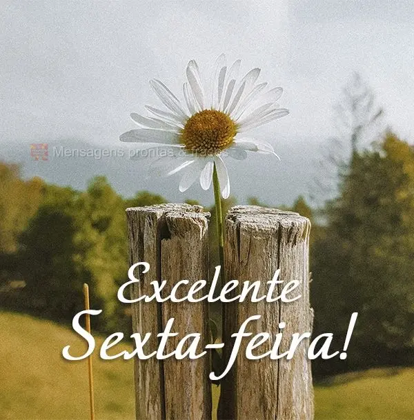 Excelente Sexta-feira!