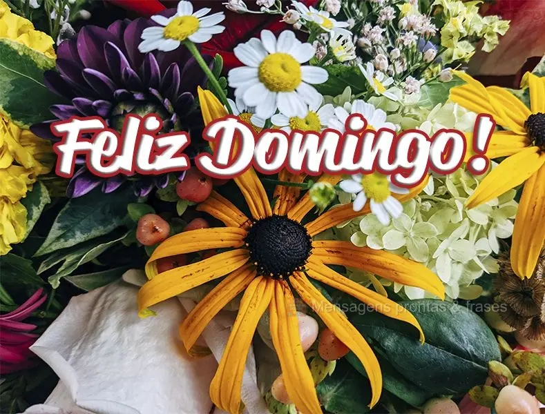 Feliz Domingo!