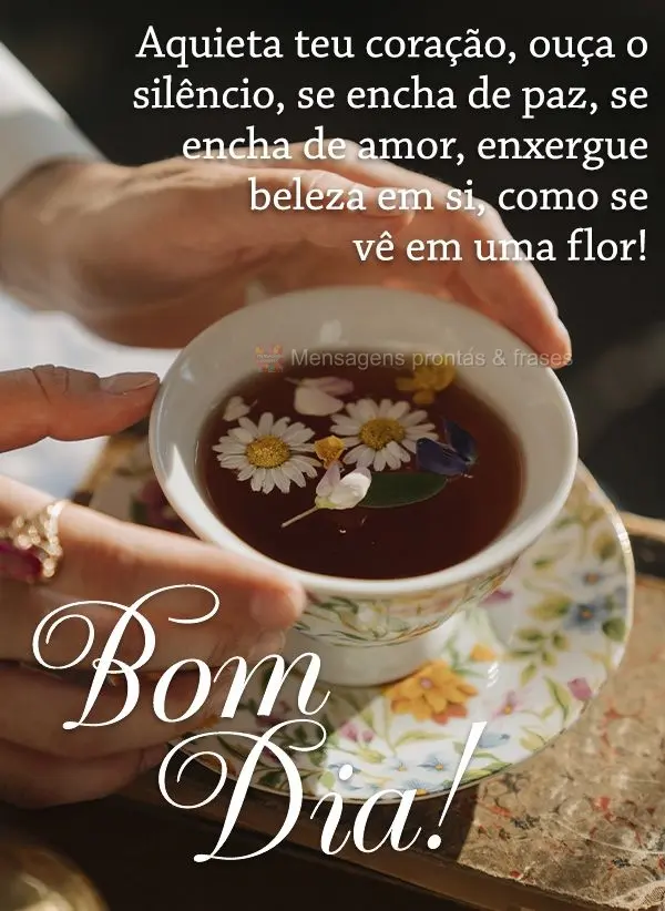 Aquieta teu coração, ouça o silêncio, se encha de paz, se encha de amor, enxergue beleza em si, como se vê em uma flor! Bom dia! 