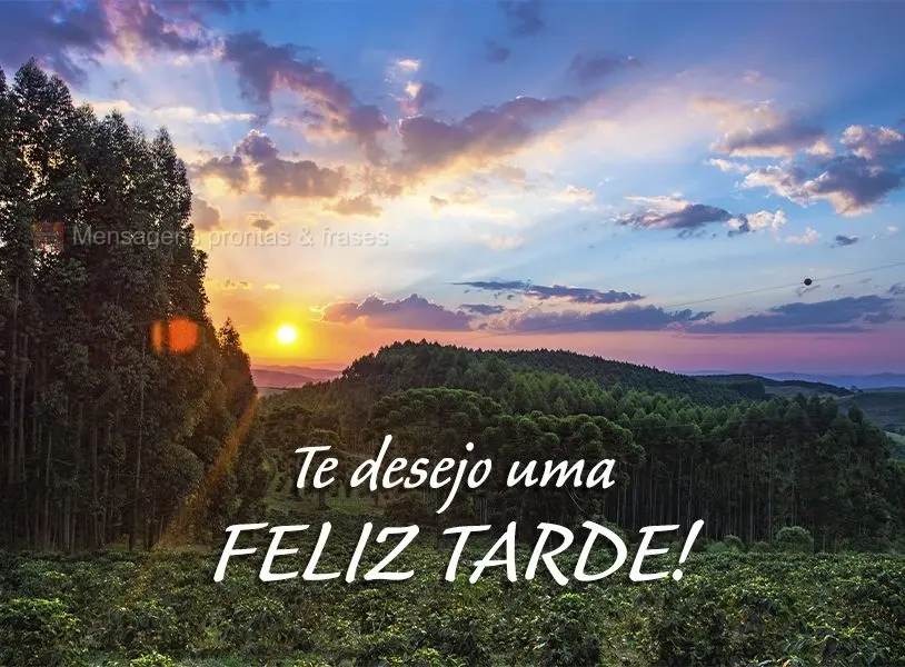 Te desejo uma feliz tarde!