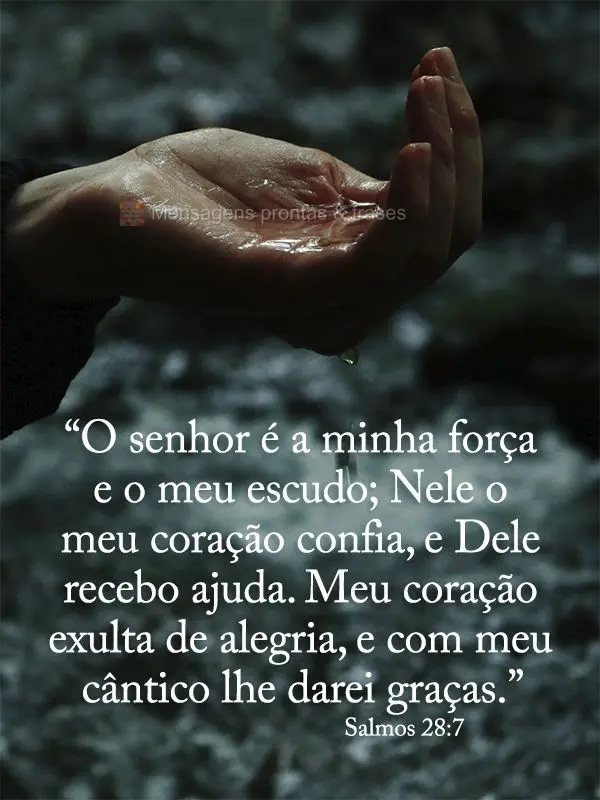 “O senhor é a minha força e o meu escudo; Nele o meu coração confia e Dele recebo ajuda. Meu coração exulta de alegria e com meu cântico lhe dar...