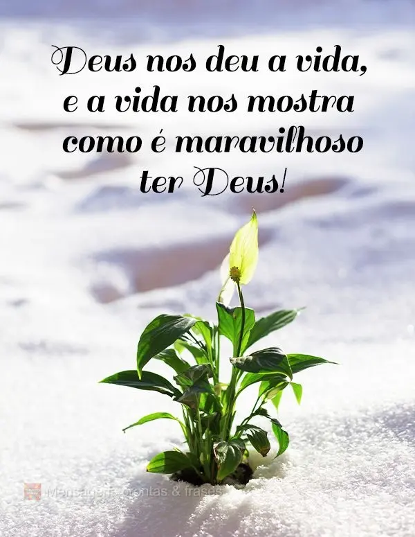 Deus nos deu a vida, e a vida nos mostra como é maravilhoso ter Deus!