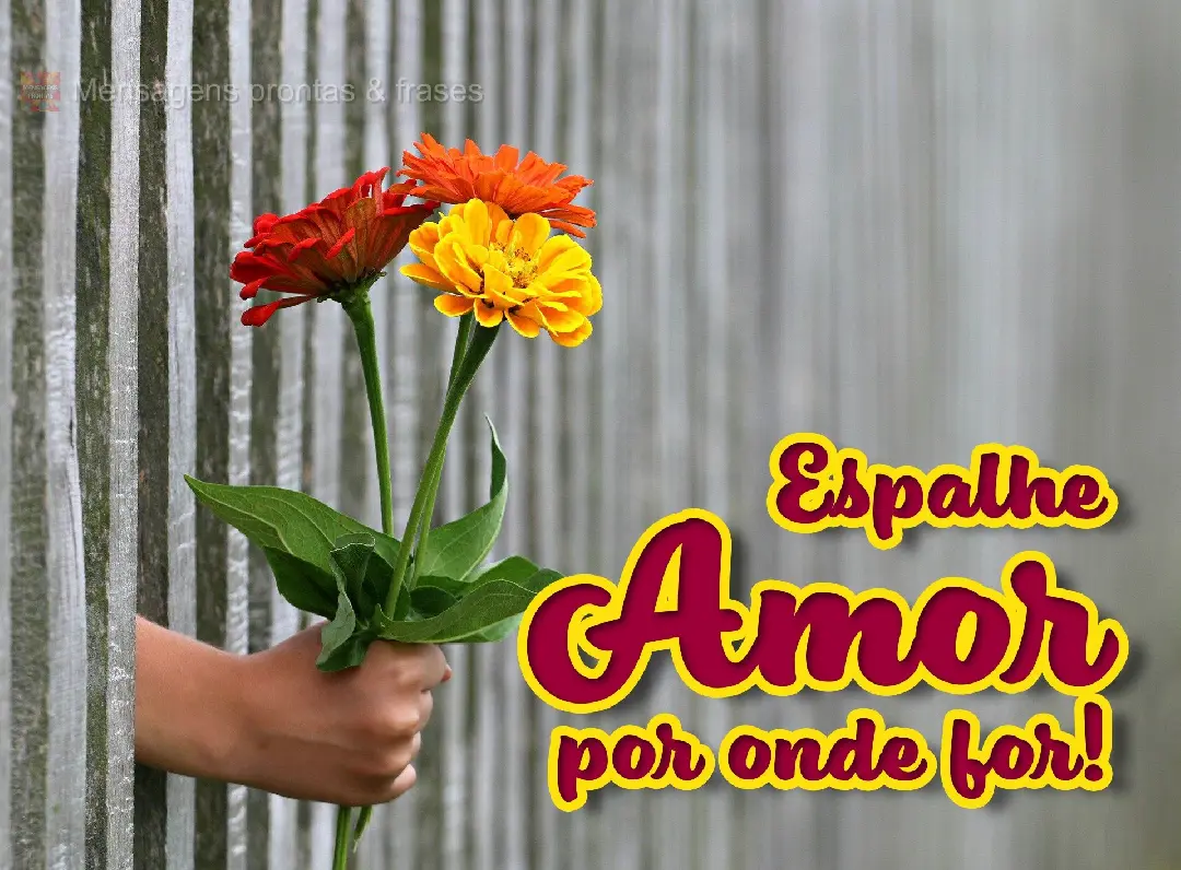 Espalhe Amor por onde for!