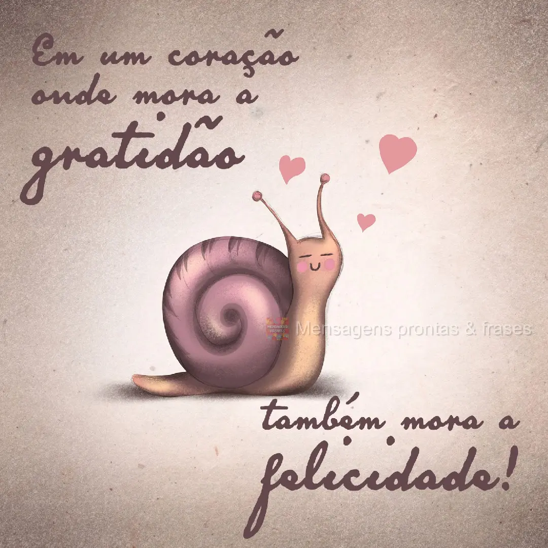 Em um coração onde mora a gratidão também mora a felicidade!