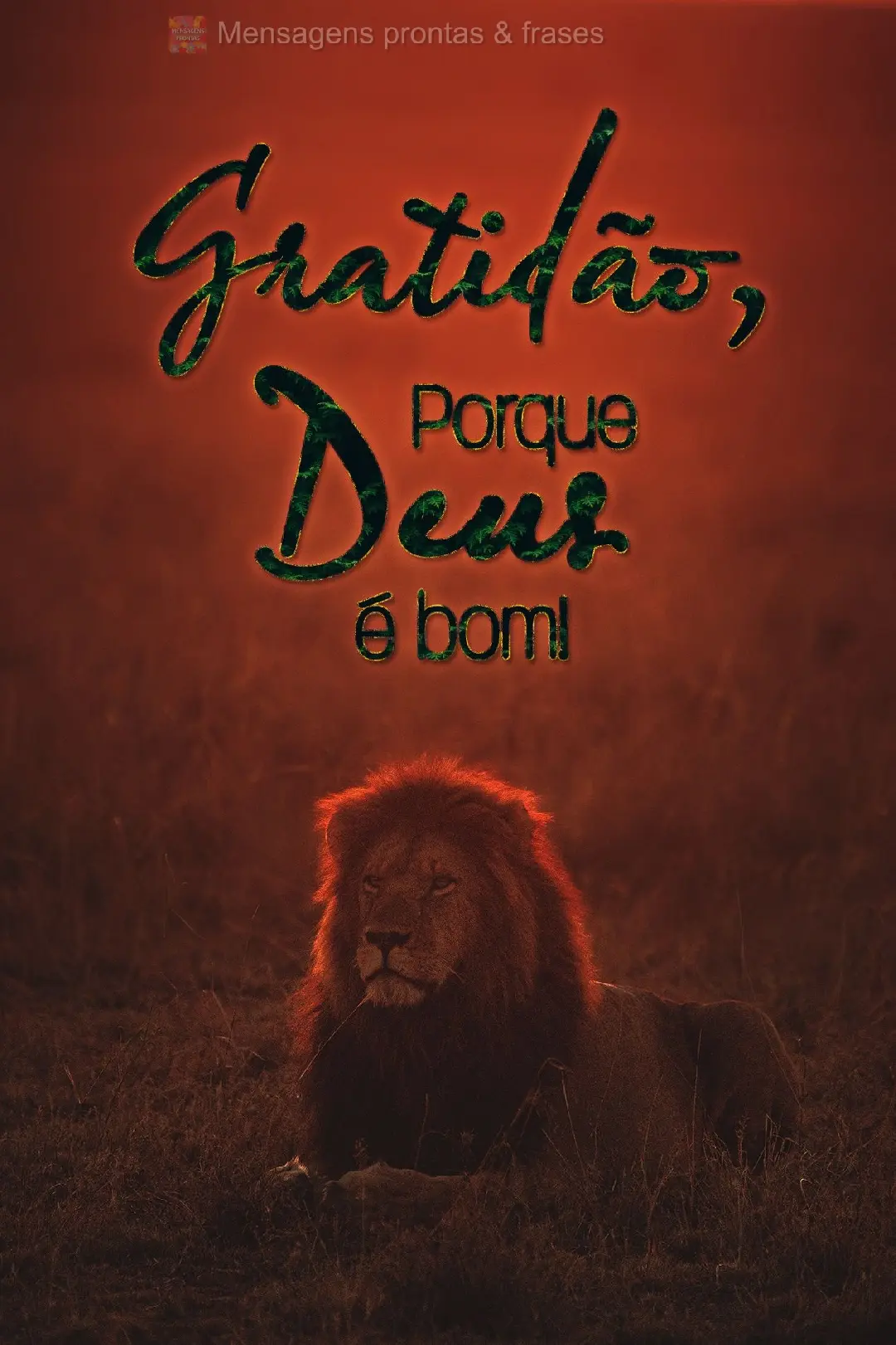 Gratidão, Porque Deus é bom!