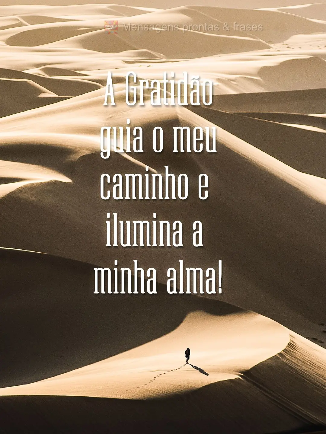 A Gratidão guia o meu caminho e ilumina a minha alma!