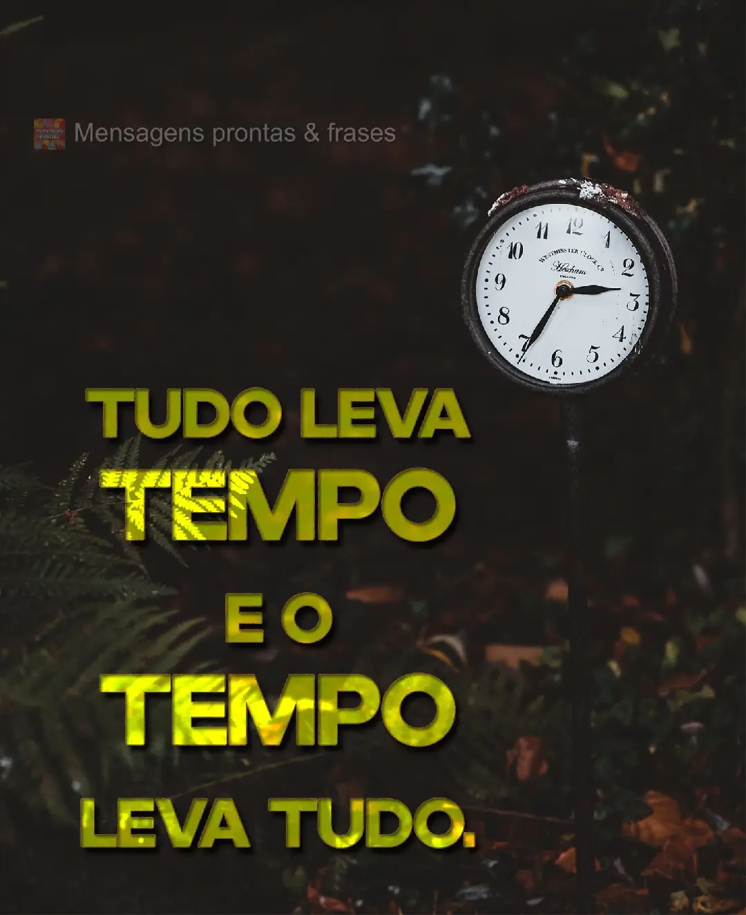 Tudo leva tempo e o tempo leva tudo.