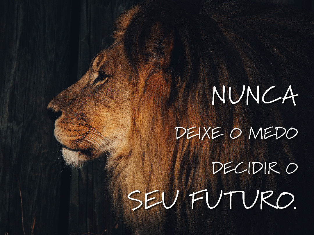 Nunca deixe o medo decidir o seu futuro.