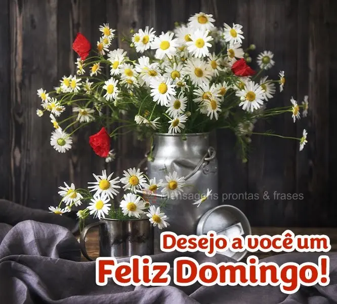 Desejo a você um Feliz Domingo!