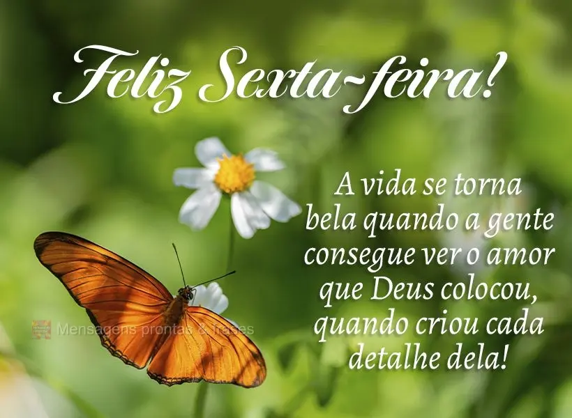 A vida se torna bela quando a gente consegue ver o amor que Deus colocou, quando criou cada detalhe dela! Feliz Sexta-feira! 