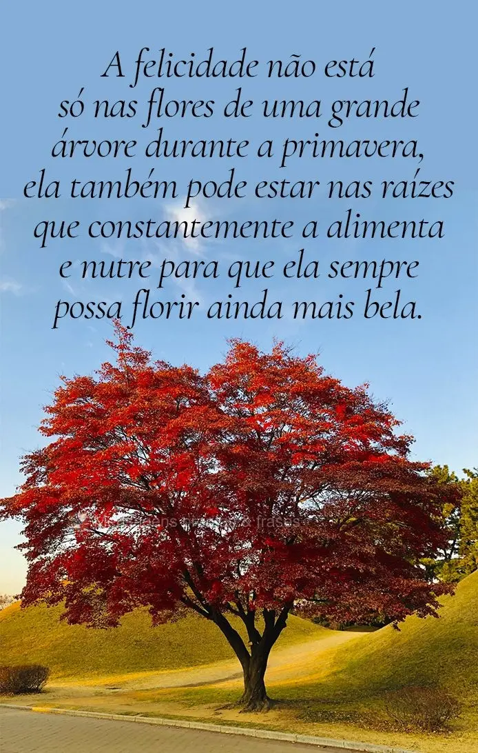 A felicidade não está só nas flores de uma grande árvore durante a primavera, ela também pode estar nas raízes que constantemente a alimenta e nutr...