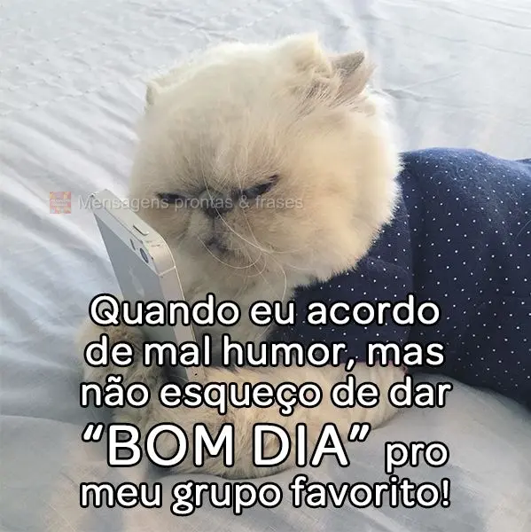 Quando eu acordo de mal humor, mas não esqueço de dar "bom dia" pro meu grupo favorito!