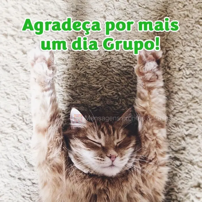 Agradeça por mais uma dia, Grupo!