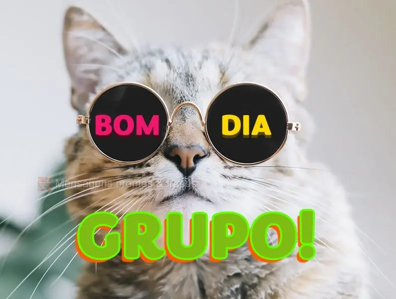 Bom dia Grupo!