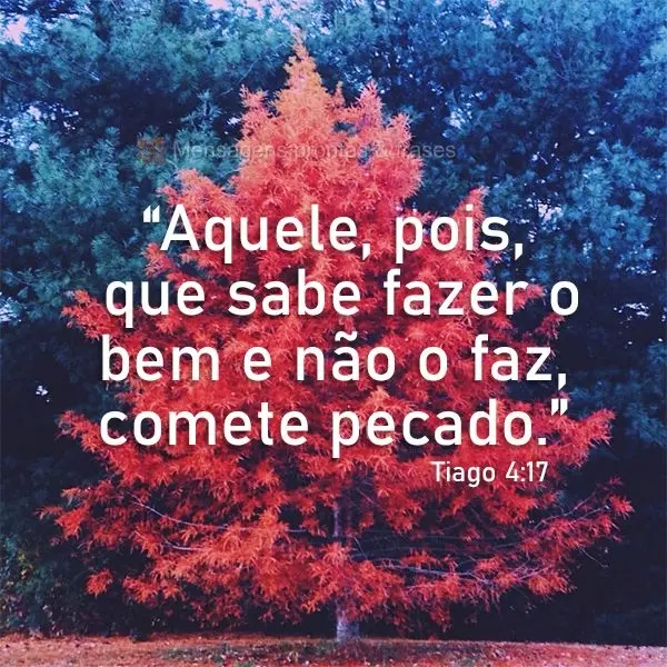 “Aquele, pois, que sabe fazer o bem e não o faz, comete pecado.” Tiago 4:17