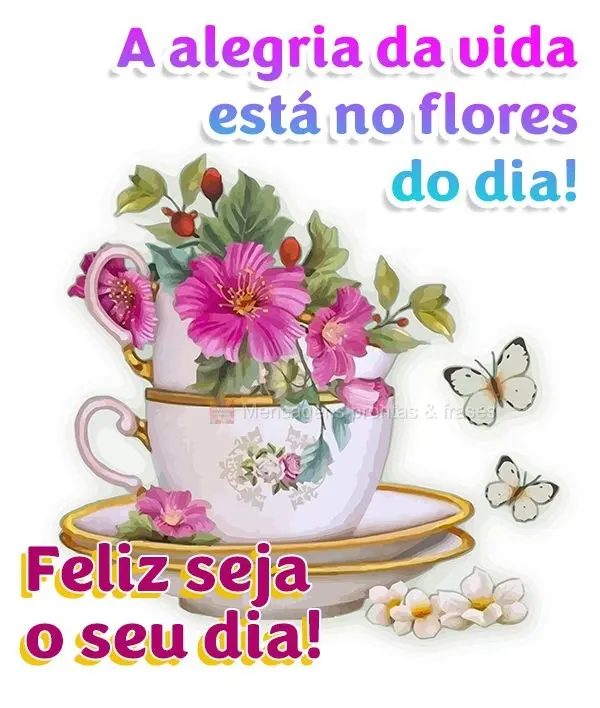 A alegria está nas flores do dia!  Feliz seja o seu dia!