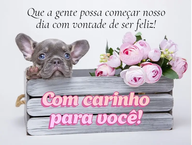 Que a gente possa começar nosso dia com vontade de ser feliz! Com carinho para você!