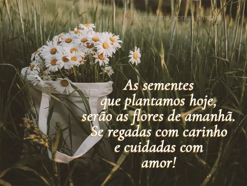 As sementes que plantamos hoje, serão as flores de amanhã. Se regadas com carinho e cuidadas com amor!