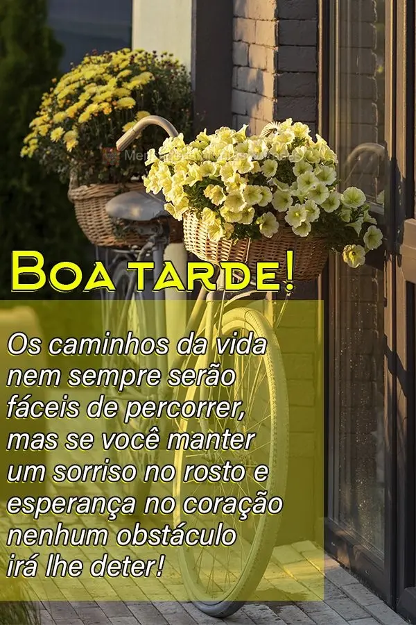 Os caminhos da vida nem sempre serão fáceis de percorrer, mas se você manter um sorriso no rosto e esperança no coração, nenhum obstáculo irá lhe...