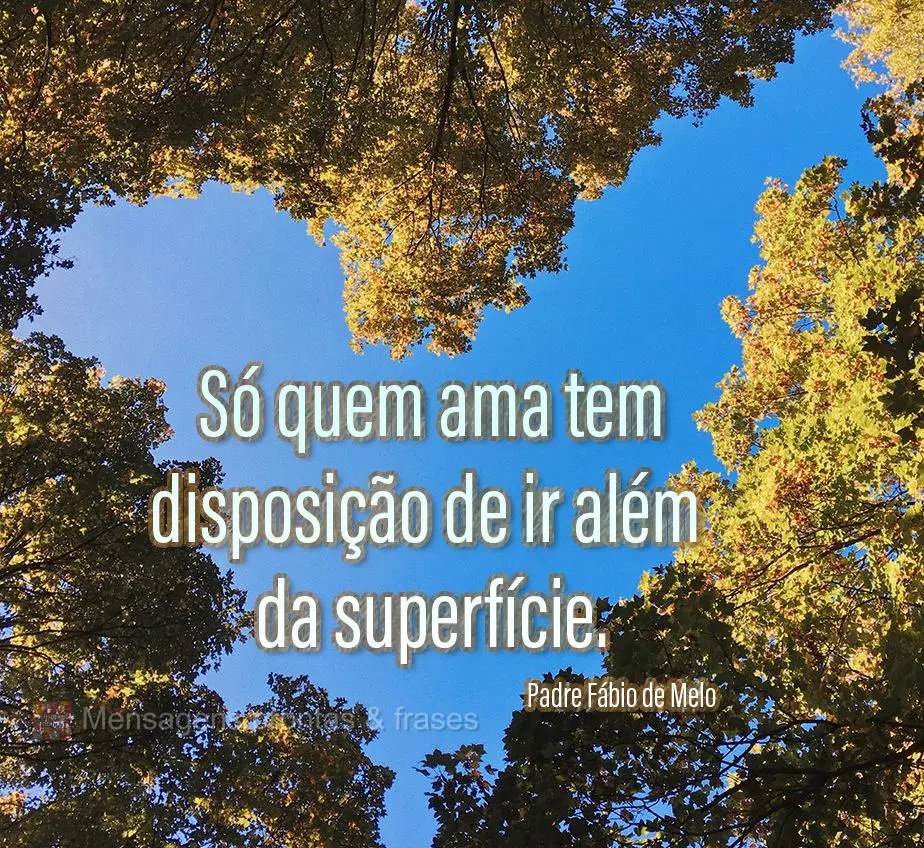 Só quem ama tem disposição de ir além da superfície. Padre Fábio de Melo