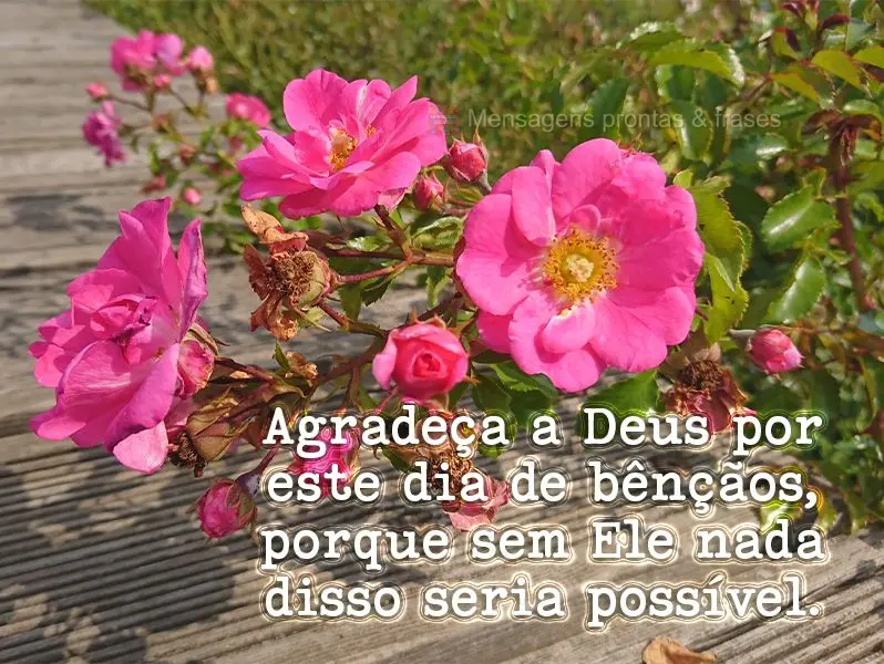 Agradeça a Deus por este dia de bênçãos, porque sem Ele nada disso seria possível.