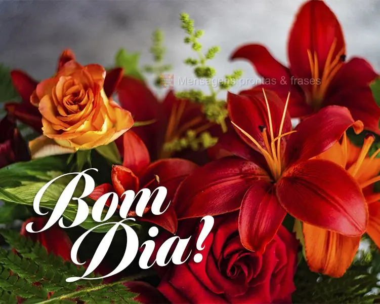 Bom dia!