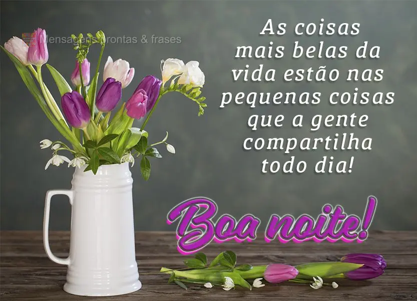 As coisas mais belas da vida estão nas pequenas coisas que a gente compartilha todo dia! Boa noite!