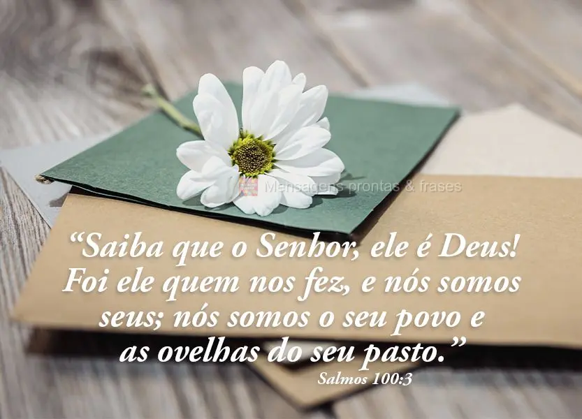 “Saiba que o Senhor, ele é Deus! Foi ele quem nos fez, e nós somos seus; nós somos o seu povo e as ovelhas do seu pasto.”  Salmos 100:3