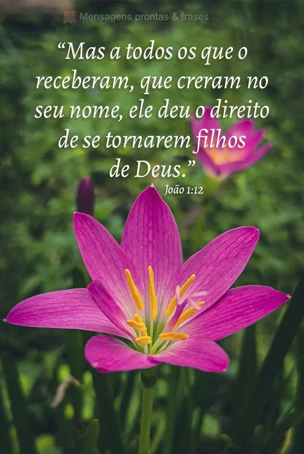 “Mas a todos os que o receberam, que creram no seu nome, ele deu o direito de se tornarem filhos de Deus.” João 1:12