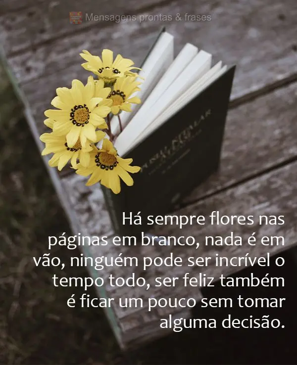 Há sempre flores nas páginas em branco, nada é em vão. Ninguém pode ser incrível o tempo todo, ser feliz também é ficar um pouco sem tomar alguma...