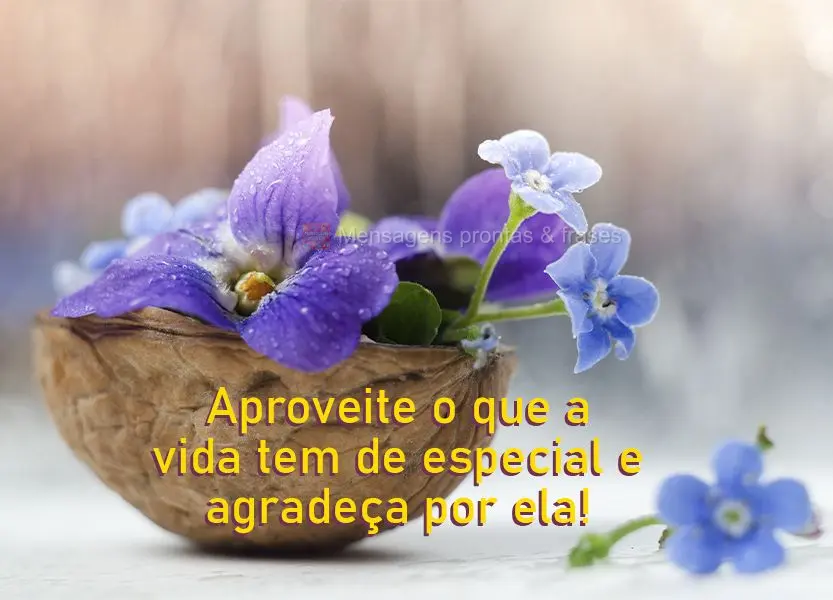 Aproveite o que a vida tem de especial e agradeça por ela!