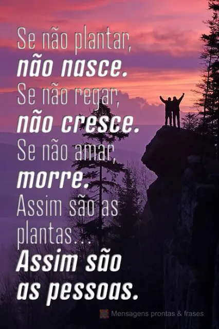 Se não plantar, não nasce. Se não regar, não cresce. Se não amar, morre.
Assim são as plantas… assim são as pessoas.
