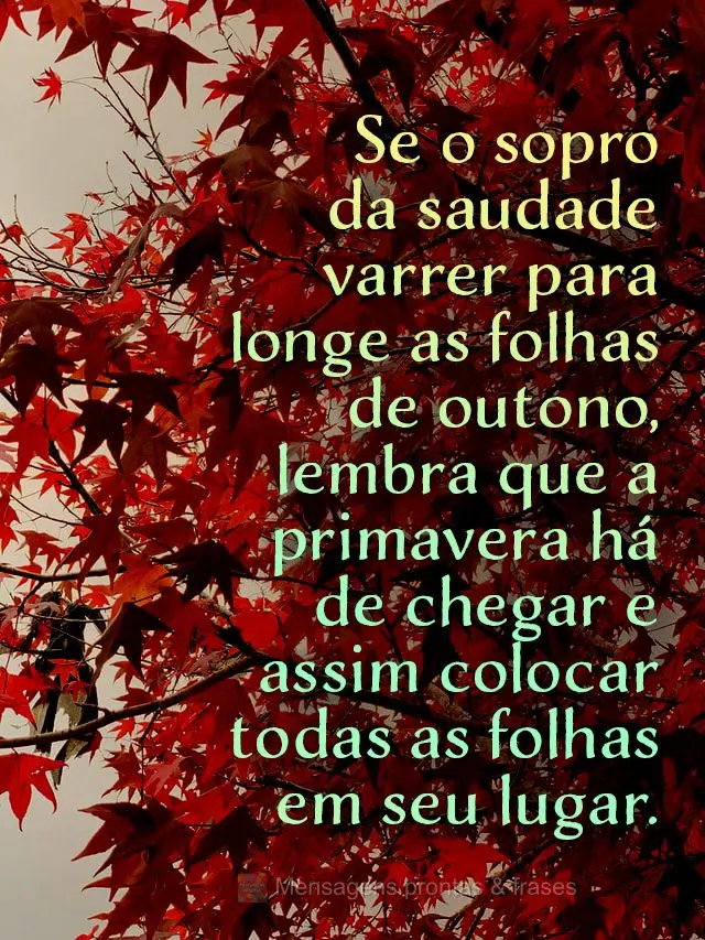 Se o sopro da saudade varrer para longe as folhas de outono, lembra que a primavera há de chegar e assim colocar todas as folhas em seu lugar.
