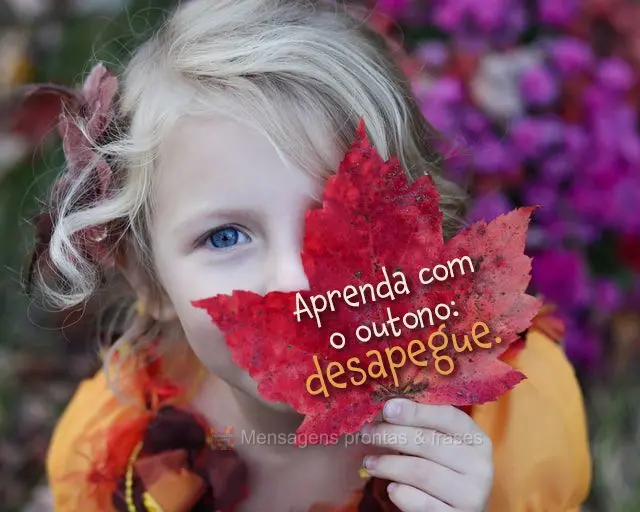 Aprenda com o outono:  desapegue.