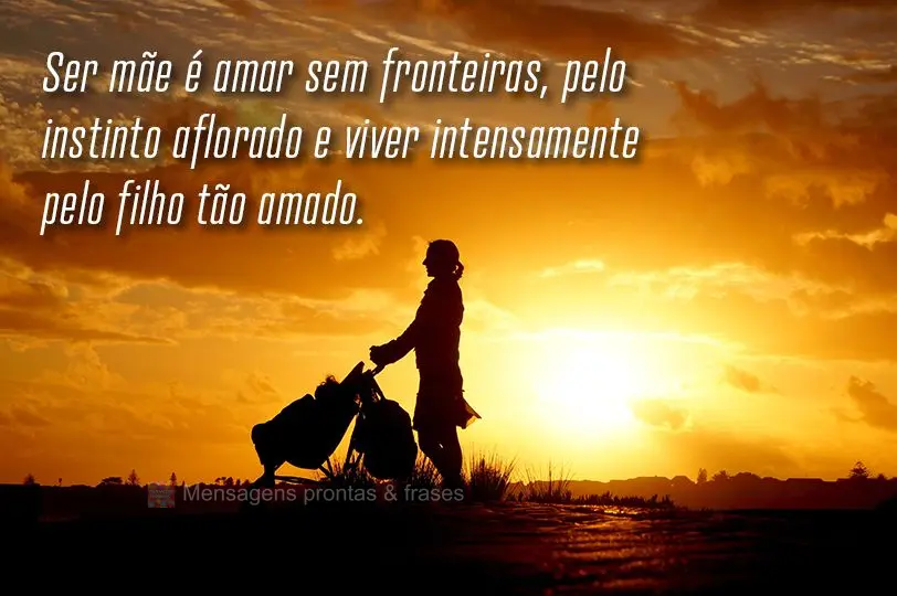 Ser mãe é amar sem fronteiras, pelo instinto aflorado, e viver intensamente pelo filho tão amado!
