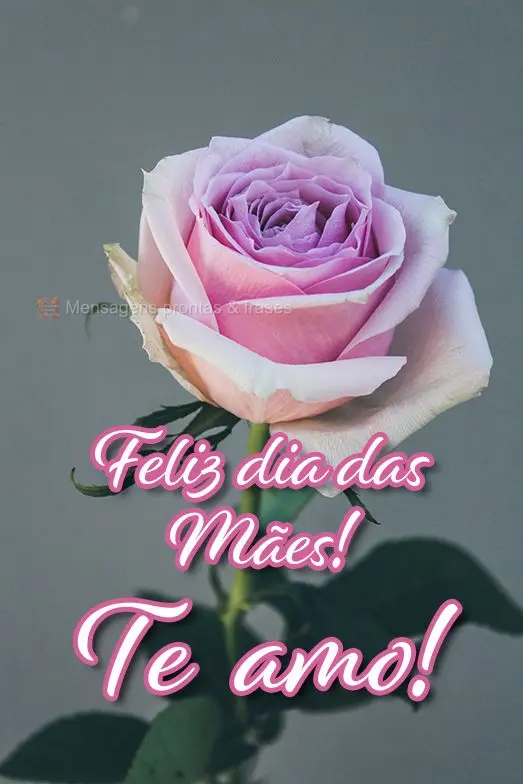 Feliz dia das Mães! Te amo!