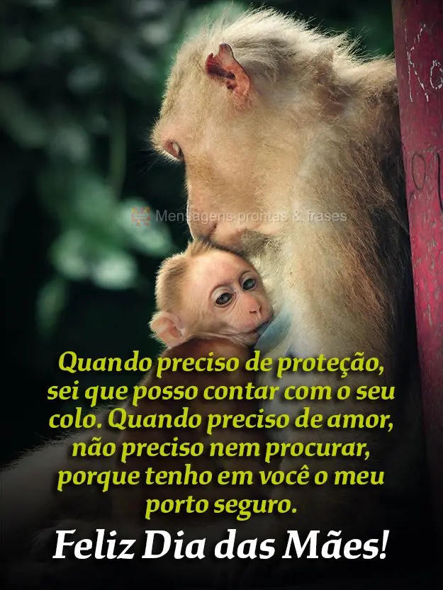 Quando preciso de proteção, sei que posso contar com o seu colo. Quando preciso de amor, não preciso nem procurar, porque tenho em você o meu porto s...