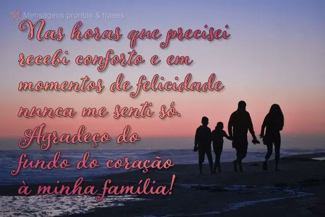 Nas horas que precisei recebi conforto e em momentos de felicidade nunca me senti só. Agradeço do fundo do coração à minha família!
