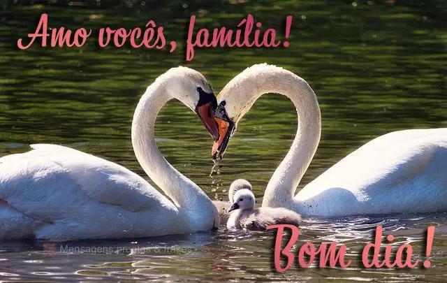 Amo vocês, família! Bom dia!
