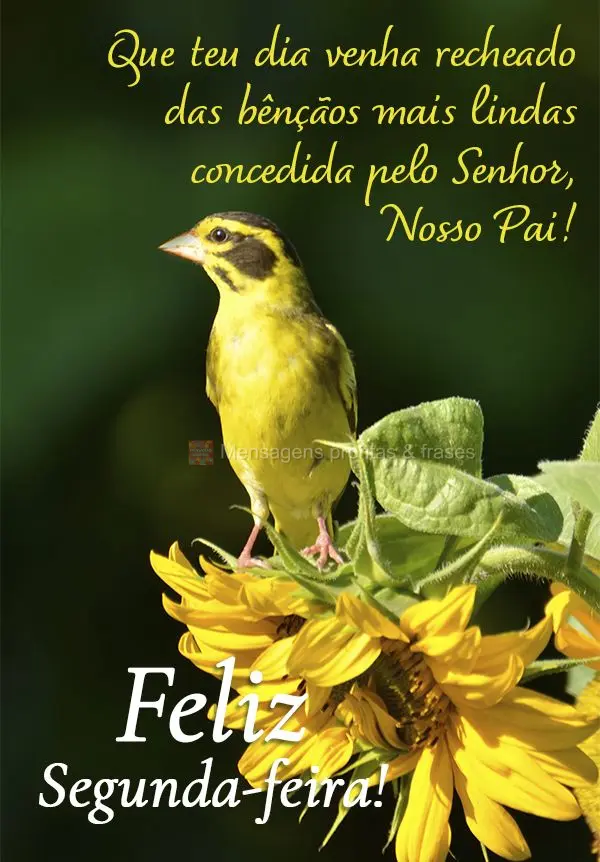 Que teu dia venha recheado das bênçãos mais lindas concedidas pelo Senhor, Nosso Pai! Feliz Segunda-feira!