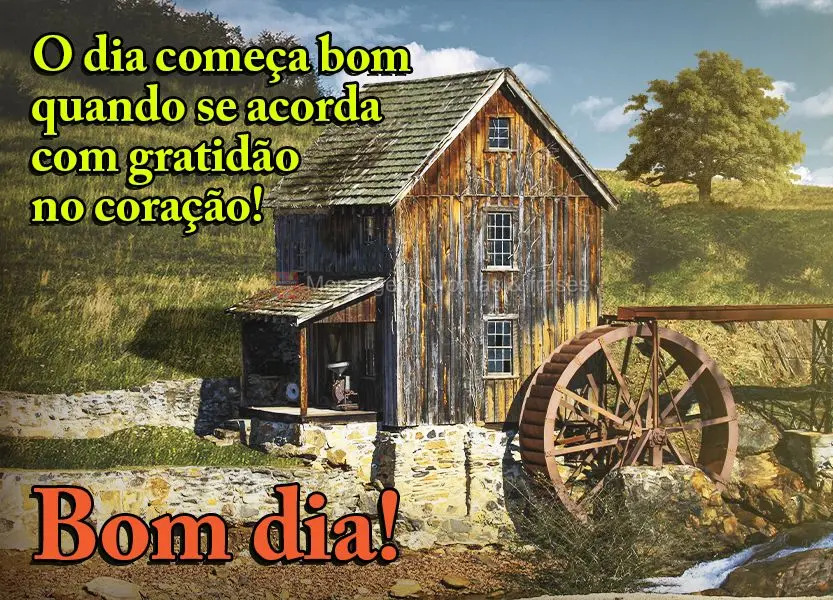 O dia começa bom quando se acorda com gratidão no coração! Bom dia!